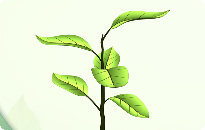 科學動畫_荷葉也會自助洗