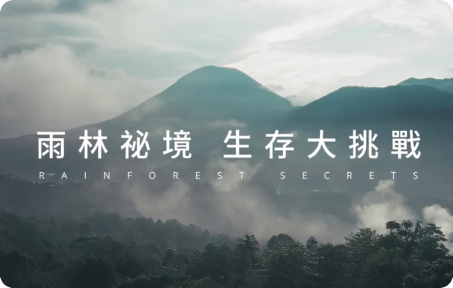 雨林祕境生存大挑戰