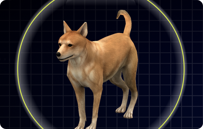 互動程式_3D動物