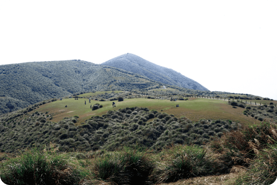 陽明山國家公園